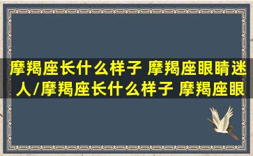 摩羯座长什么样子 摩羯座眼睛迷人/摩羯座长什么样子 摩羯座眼睛迷人-我的网站